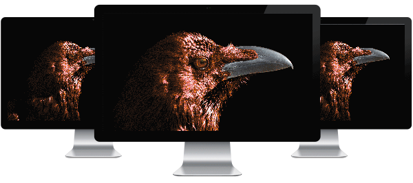 3 Monitors - Raven